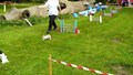 10612699_934517393231389_4714575395818955082_n.jpg