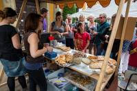 170909_Cholticky_destnik_0168.jpg