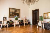 170909_Cholticky_destnik_0244.jpg